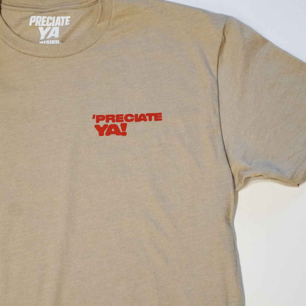 "Definition" Classic Heather Tan T-Shirt