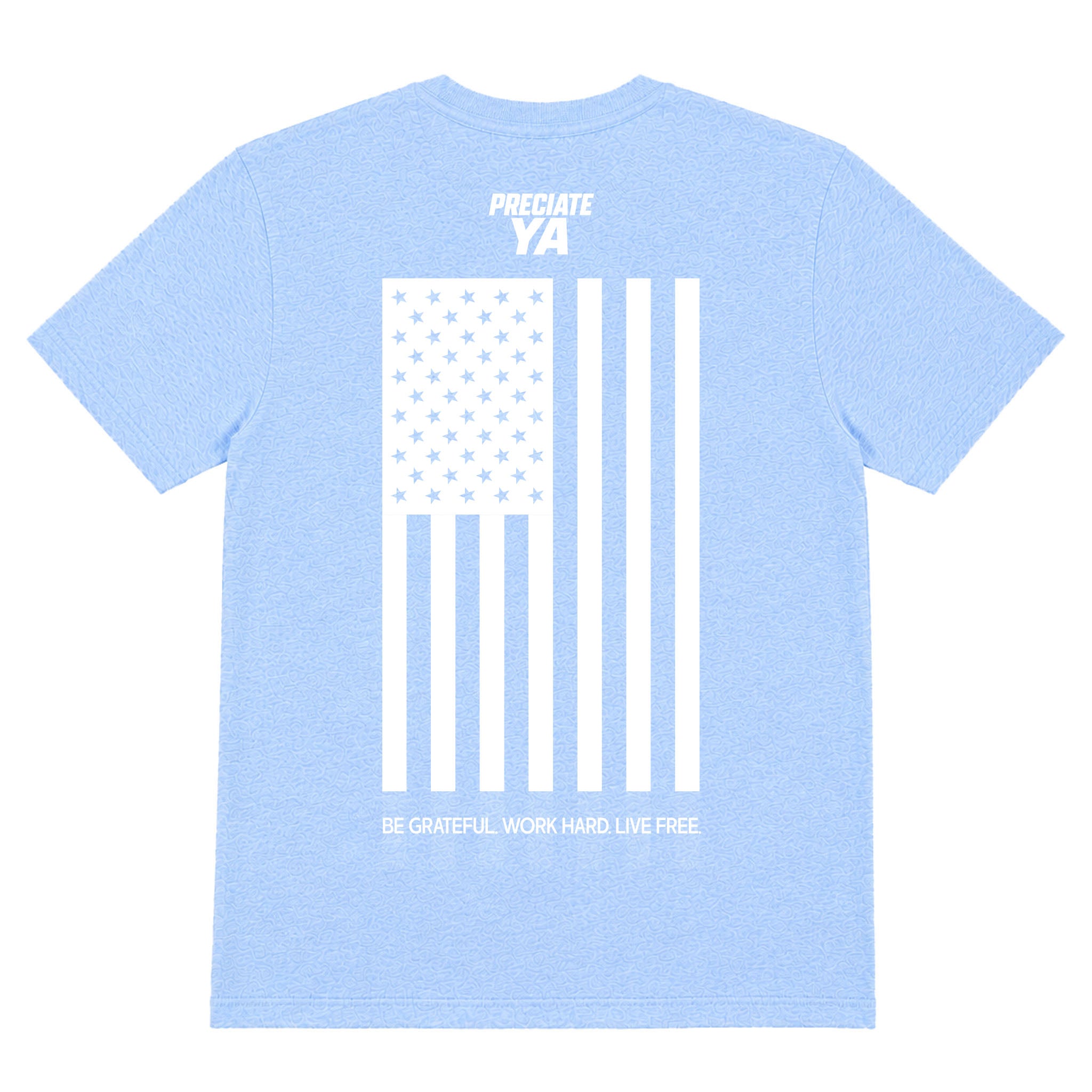 "Flag" Tee Heather Carolina Blue